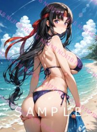 248 武者巫女トモエ　クイーンズブレイド　0105A