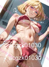 73　セイラ・マス　機動戦士 ガンダム 010IR