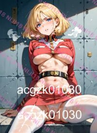 4　セイラ・マス　機動戦士 ガンダム 010N2