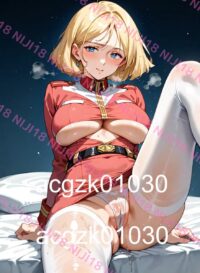 29　セイラ・マス　機動戦士 ガンダム 010OM