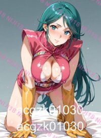 22　南原ちずる 超電磁ロボ コン・バトラーV 01142