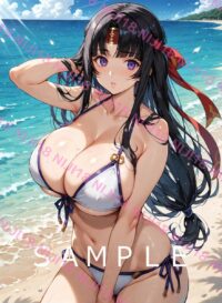 245 武者巫女トモエ　クイーンズブレイド　011W4