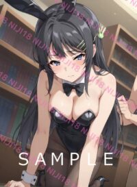 143　青春ブタ野郎　桜島麻衣 01260