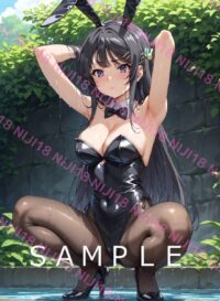 160　青春ブタ野郎　桜島麻衣 012HR