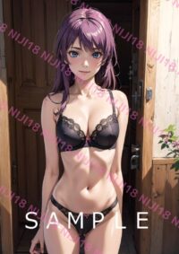 4　化物語 戦場ヶ原ひたぎ アニメ A4 ポスター 012LL