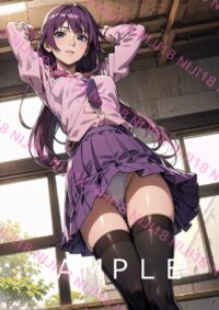 22　化物語 戦場ヶ原ひたぎ アニメ A4 ポスター 01301