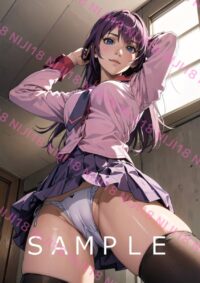 20　化物語 戦場ヶ原ひたぎ アニメ A4 ポスター 0130F