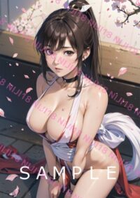 295　不知火舞　スト6KOF　キングオブファイターズ　0130K