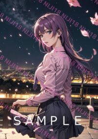 3　化物語 戦場ヶ原ひたぎ アニメ A4 ポスター 013AJ