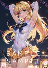14セーラーヴィーナス　美少女戦士セーラームーン 013AV