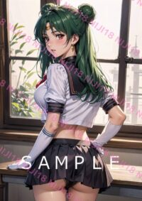 29セーラープルート美少女戦士セーラームーン アニメ A4 ポスター 013DI