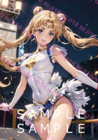 115セーラームーン　美少女戦士セーラームーン 013VN