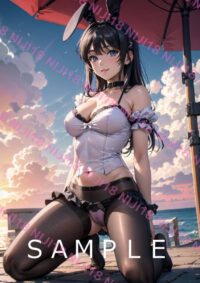 47　青春ブタ野郎　桜島麻衣 013Z1