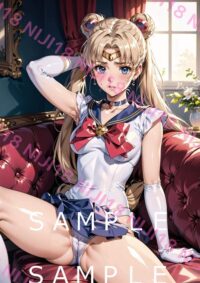 35セーラームーン　美少女戦士セーラームーン 014D1
