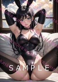 22　青春ブタ野郎　桜島麻衣 014DN