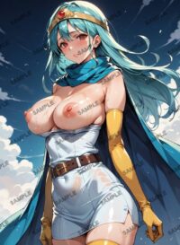 108　女賢者　女賢者　ドラクエ　ドラゴンクエスト　アニメ A4 ポスター 01A4P