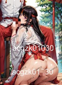 1333 クイーンズブレイド 武者巫女 トモエ A4 オリジナル アート ポスター イラスト 01A8D