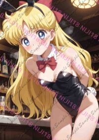セーラームーン セーラーヴィーナス 愛野美奈子 E1022 030GB