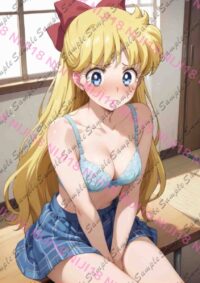 セーラームーン セーラーヴィーナス 愛野美奈子 E0919 030Z0