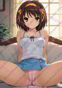 涼宮ハルヒの憂鬱 涼宮ハルヒ E0917 030Z7