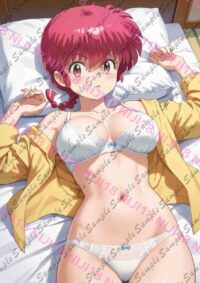 らんま1/2 早乙女乱馬 E0913 0313N