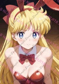 セーラームーン セーラーヴィーナス 愛野美奈子 E0829 031JF