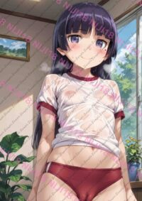 俺の妹がこんなに可愛いわけがない 俺妹 黒猫 五更 瑠璃 T0828 031K7