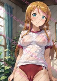 俺の妹がこんなに可愛いわけがない 俺妹 高坂 桐乃 T0828 031MR