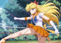 セーラームーン セーラーヴィーナス 愛野美奈子 E0821 031RL