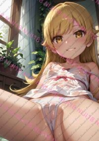化物語 忍野忍 T0813 031Z1
