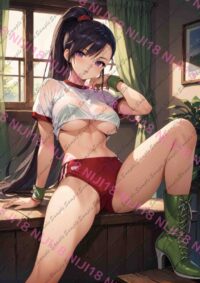 ドラゴンクエスト ドラクエ マルティナ O0813 0322K