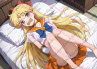 セーラームーン セーラーヴィーナス 愛野美奈子 E08041 0329M