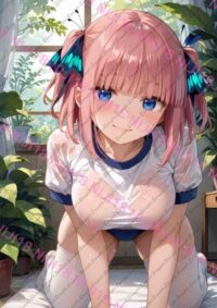 五等分の花嫁 中野二乃 T0808 0329Q