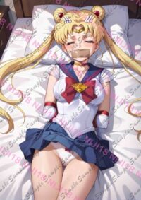 セーラームーン セーラームーン 月野うさぎ E0801 032BG