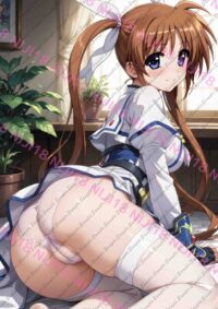 魔法少女リリカルなのは 高町なのは T0730 032DT