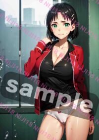 SAO ソードアート・オンライン リーファ 桐ヶ谷直葉 T0624 032JD