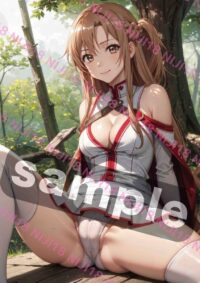 SAO ソードアート・オンライン 結城明日奈 アスナ T0624 032L3