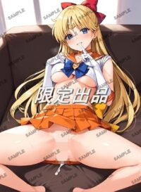 セーラービーナス 愛野美奈子 美少女戦士セーラームーン 07AHN