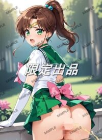 セーラージュピター 木野まこと 美少女戦士セーラームーン 07AIJ