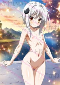An9 【1点もの・高画質】塔城小猫　ハイスクールD×D　09CEJ