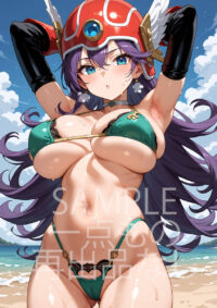 ドラゴンクエスト3 女戦士10022