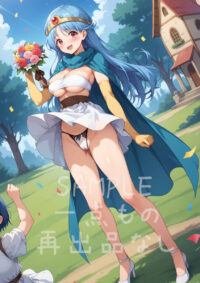 ドラゴンクエストⅢ 女賢者1005B