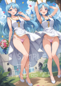 ドラゴンクエストⅢ 女僧侶1005I
