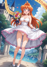 リナ＝インバース スレイヤーズ1005V