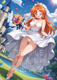 リナ＝インバース スレイヤーズ1005W