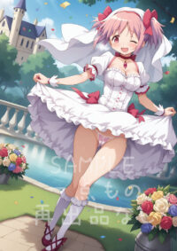 鹿目 まどか 魔法少女まどか☆マギカ10068