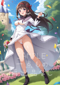 暁美 ほむら 魔法少女まどか☆マギカ1006D