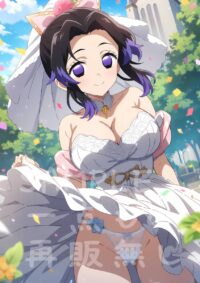 胡蝶しのぶ こちょうしのぶ 鬼滅の刃100HC