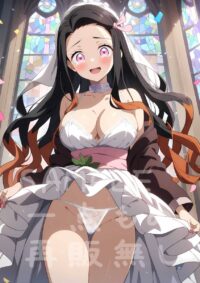 竈門禰豆子 かまどねずこ 鬼滅の刃100HF