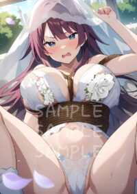 戦場ヶ原ひたぎ 化物語100MB